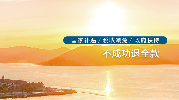 政府补贴