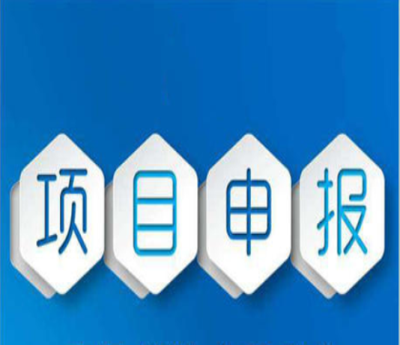 深圳市两区奖励项目